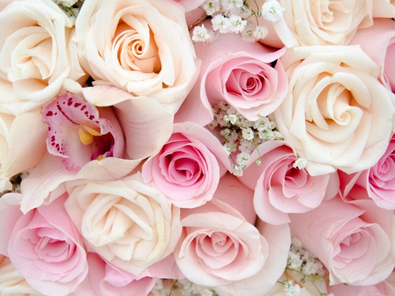 【ゲスト】結婚祝いに贈る花は何がいい？タイミングや選び方